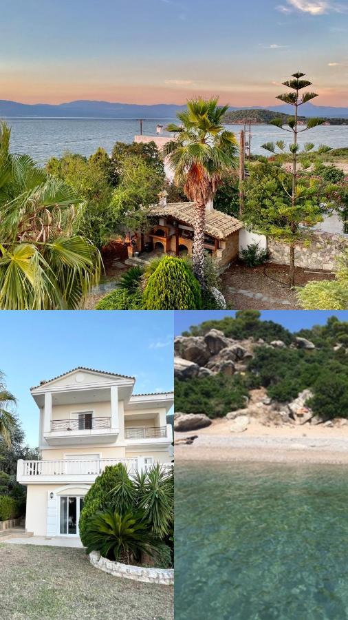 Villa Sul Mare Chalkís Extérieur photo